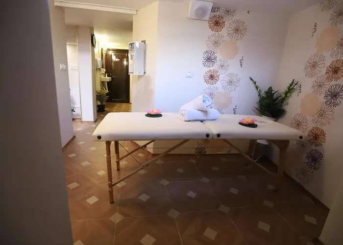 Garni Laguna Lux 2* Nis